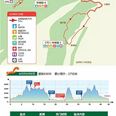 那一场仙湖风花雪月玩泥巴的故事