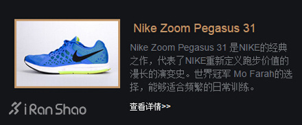 Nike Zoom Pegasus 31