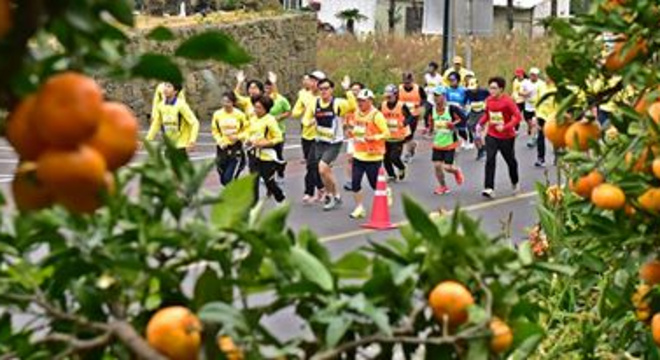 济州柑橘国际马拉松