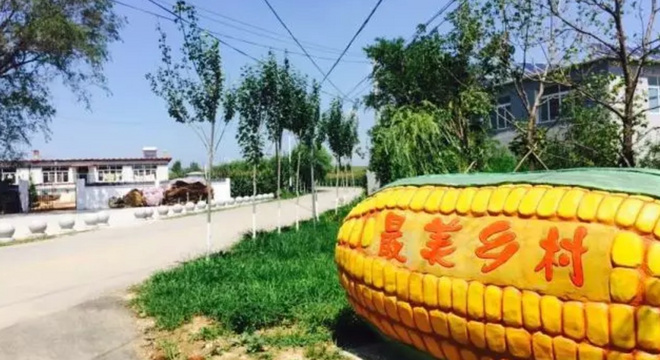浑南农业科技示范区 2017 最美乡村 山地越野马拉松