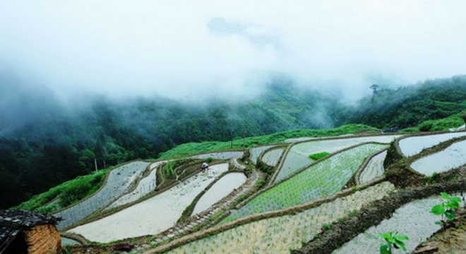 庆元马拉松 暨2016美丽乡村路跑系列赛 （庆元站）隆宫乡山地跑