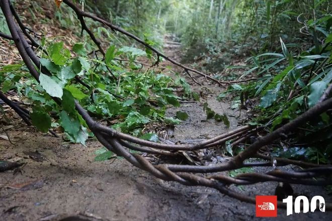 TNF100 莫干山国际越野跑挑战赛