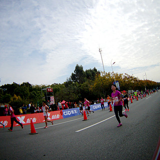 2015 厦门国际马拉松赛
