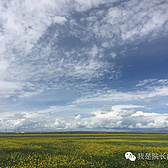 去远方 跑一场百公里 —— 记第三届青海湖超级越野跑