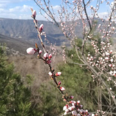 （原创发布在qingmaybar）一场说跑就跑的越野——九龙山越野记