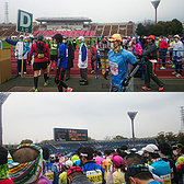 2015 京都马拉松