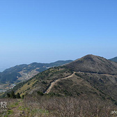 紫梦金华春山的紫色梦魇