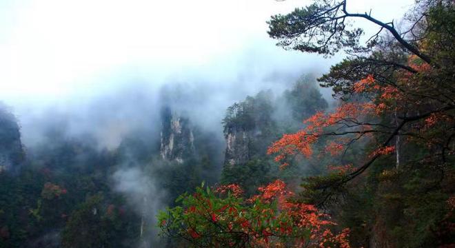 光雾和谷杯巴中光雾山国际夏季森林马拉松（延期）