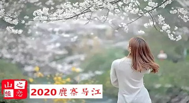 2020年鹿寨导江首届“山楂之恋”悦野赛（赛事取消）