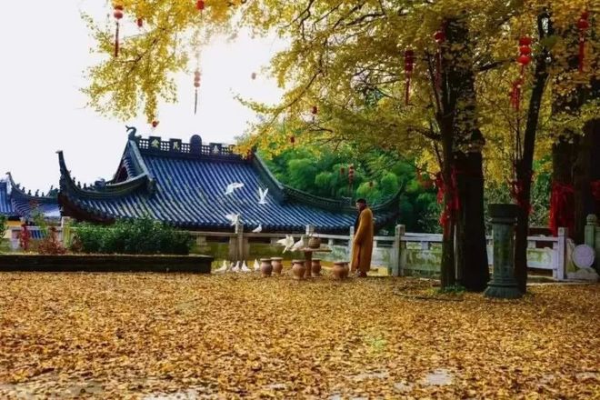 中国达摩祖师道场,原妙喜寺,为梁武帝亲撰庙额的湖州第一座庙宇,距今