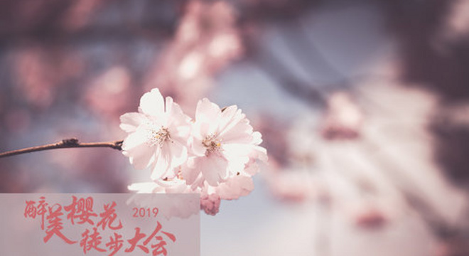 杭州（国际）醉美樱花徒步大会