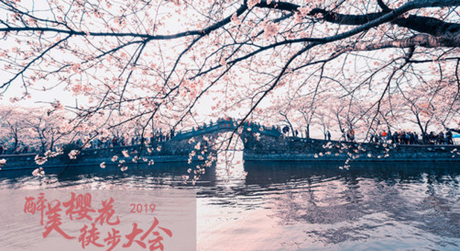 杭州（国际）醉美樱花徒步大会