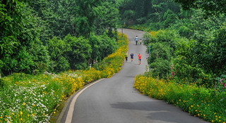 跑在重庆—青山绿水秀山城