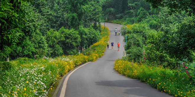 跑在重庆—青山绿水秀山城